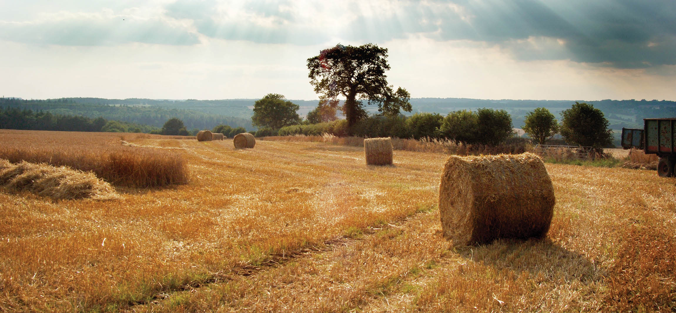 Batsford Farming